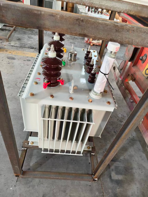 S13‑1000kVA <a href='https://xinye.xdbyq.cn/youjinshi/' target='_blank' title='新野油浸式变压器'><strong>新野油浸式变压器</strong></a> 大型厂区 S13 新野新野新野油浸式变压器 S13‑1000kVA 新野新野新野油浸式变压器 大型厂区 S13 新野新野新野油浸式变压器